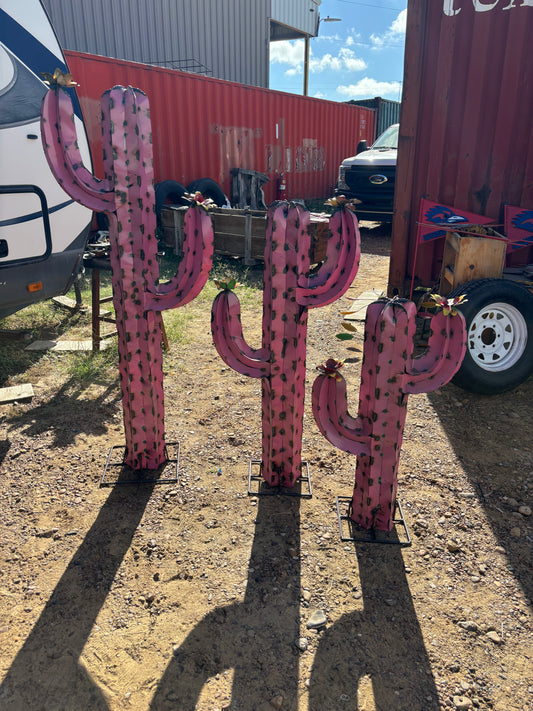 Pink Cactus